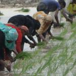 Helping Small Holder Farmers Rise Out Of Poverty