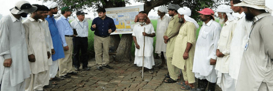 Working towards a better future: Engro and GIZ train 11,000+ rice farmers