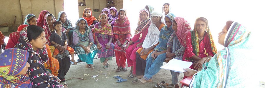 Strengthening Entrepreneurs and Dairy Stakeholders Network (SEaDS Net) Project